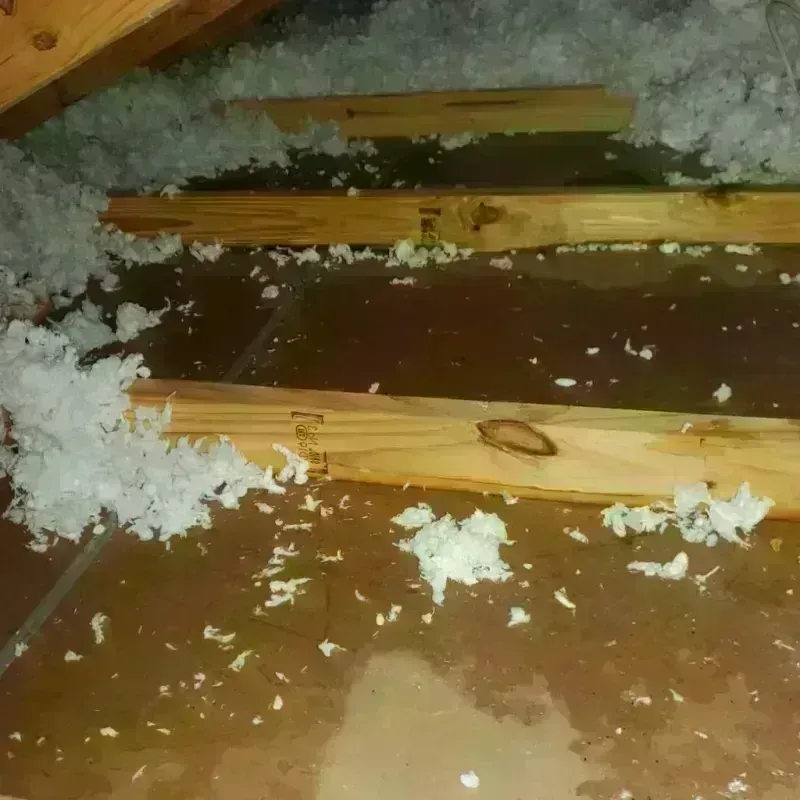 Attic Water Damage in Evergreen, MT